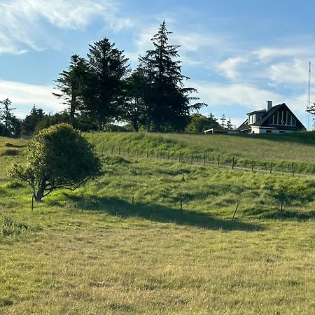 Roligt Med Udsigt Til Klitterne * Frostrup